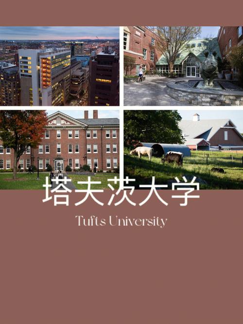 塔夫斯大学怎么样