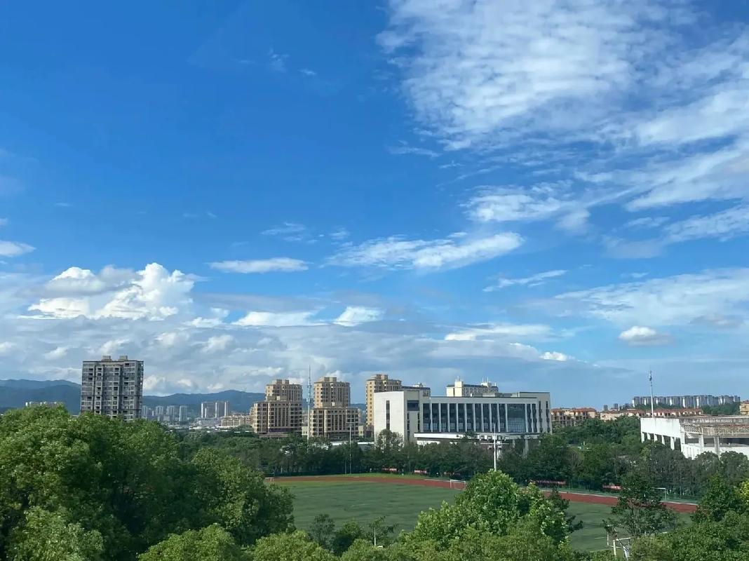 江西什么大学390分