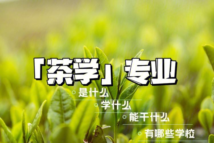 茶学属于什么专业