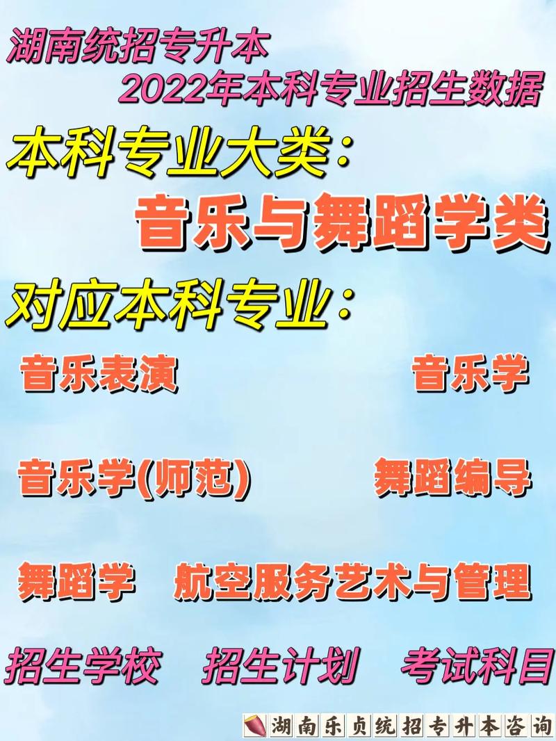 音乐表演能上什么大学