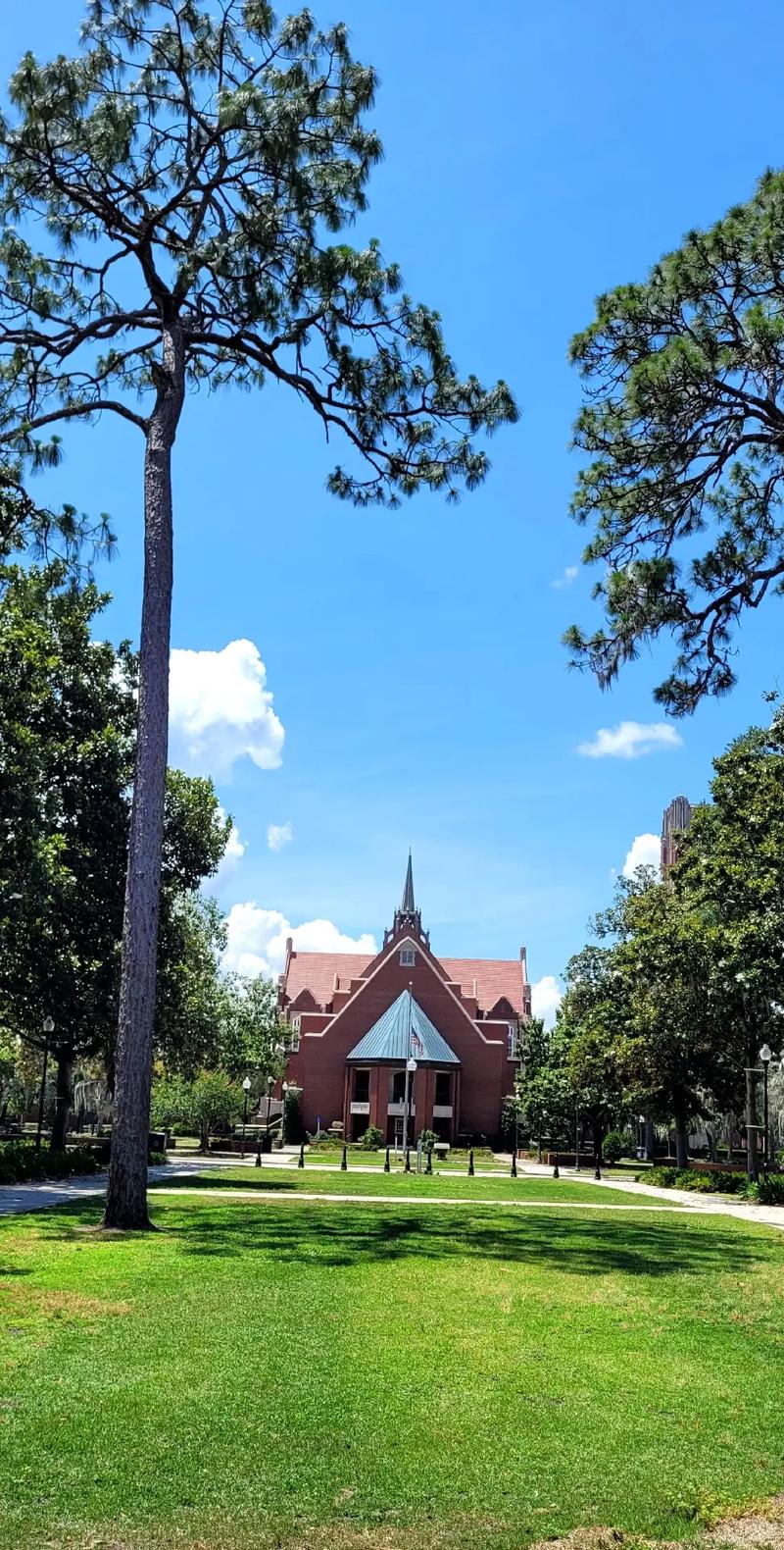 美国佛罗里达大学怎么样