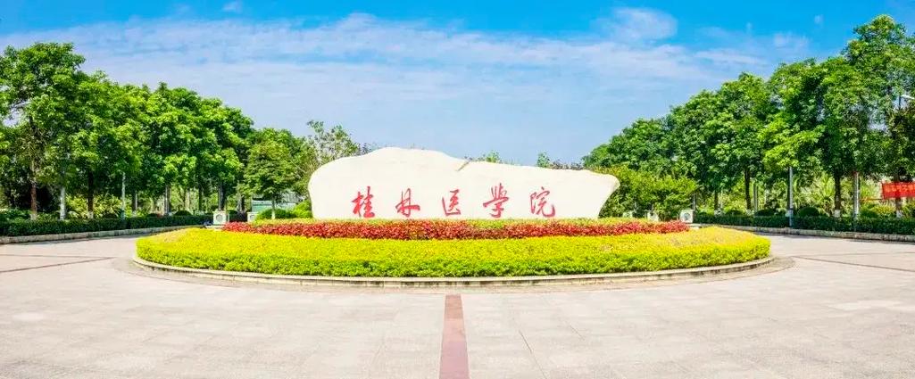 桂林 到底 什么 大学