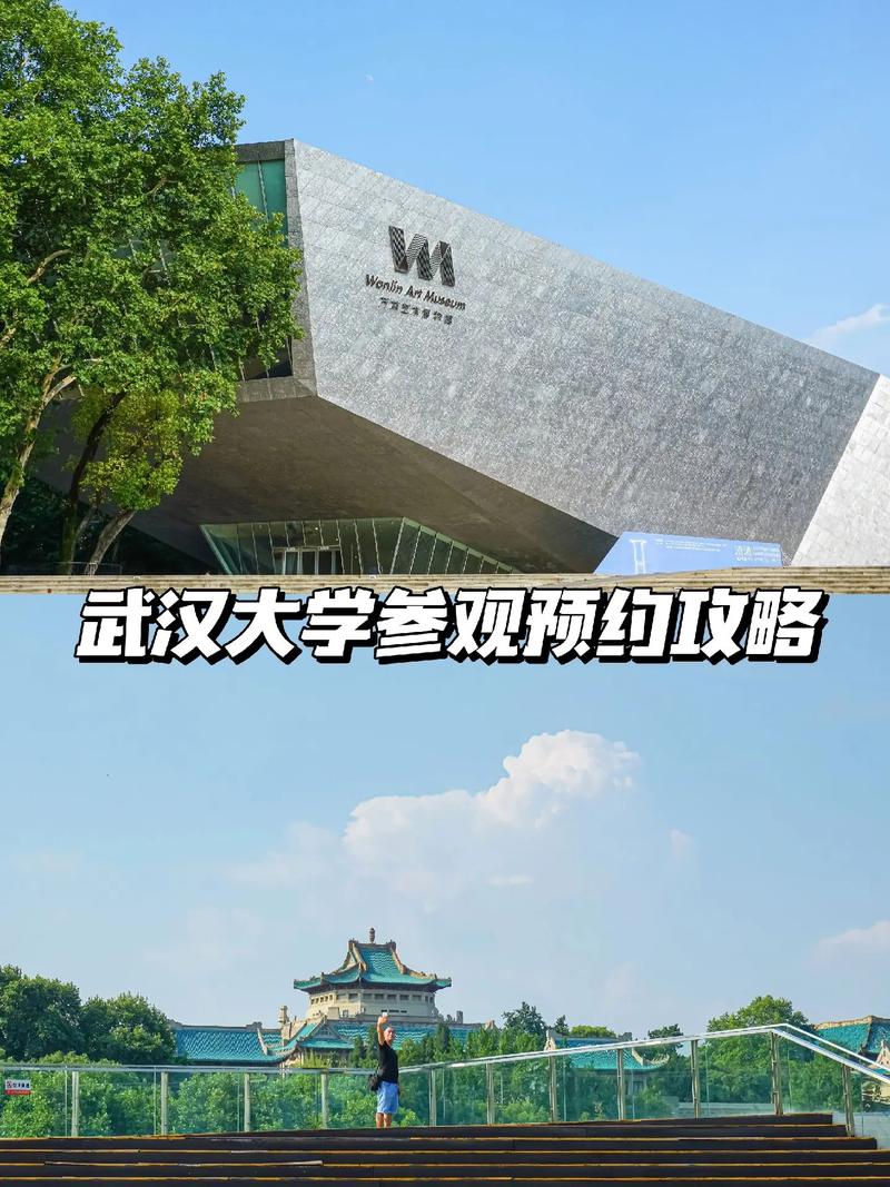 武汉大学怎么