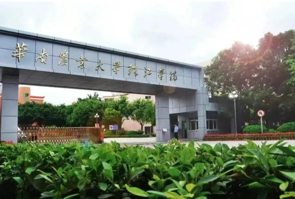 为什么不办珠江大学