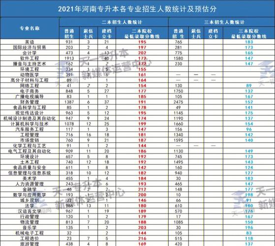 河南313可以上什么大学