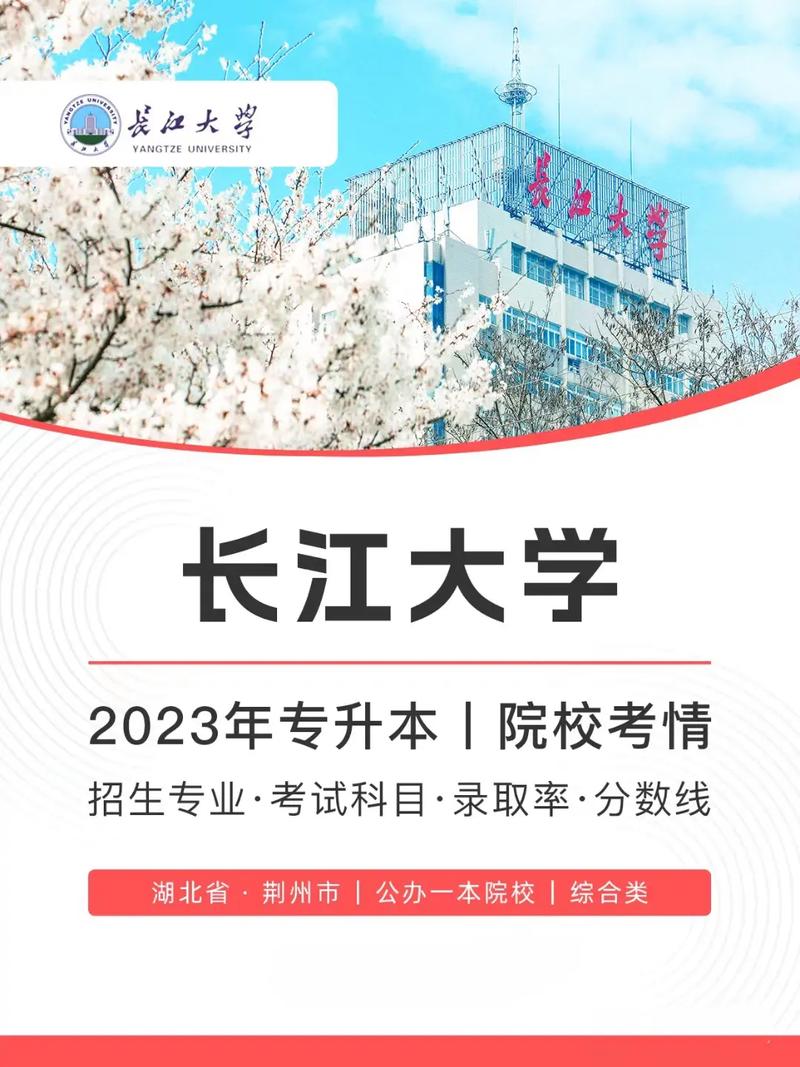 荆州什么大学好