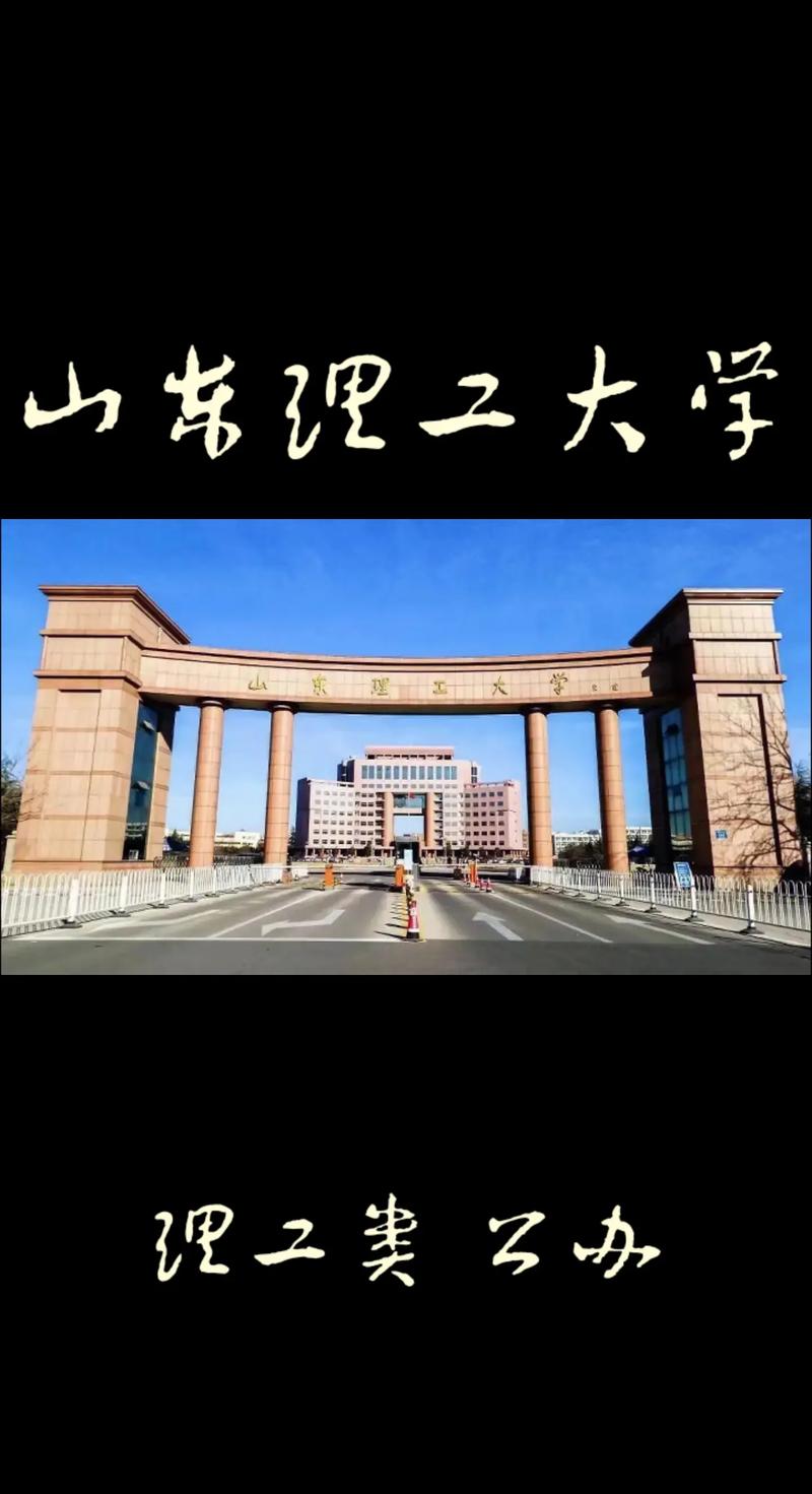 山东理什么学院