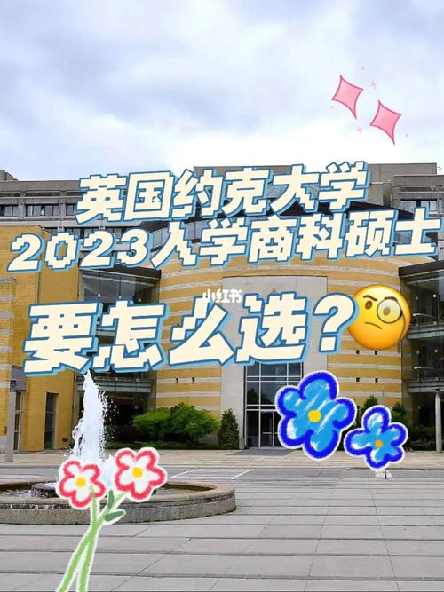 约克大学商科怎么样