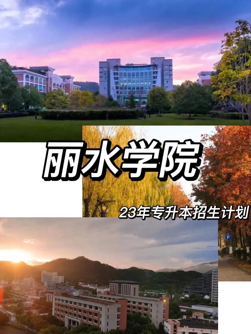 丽水有些什么大学