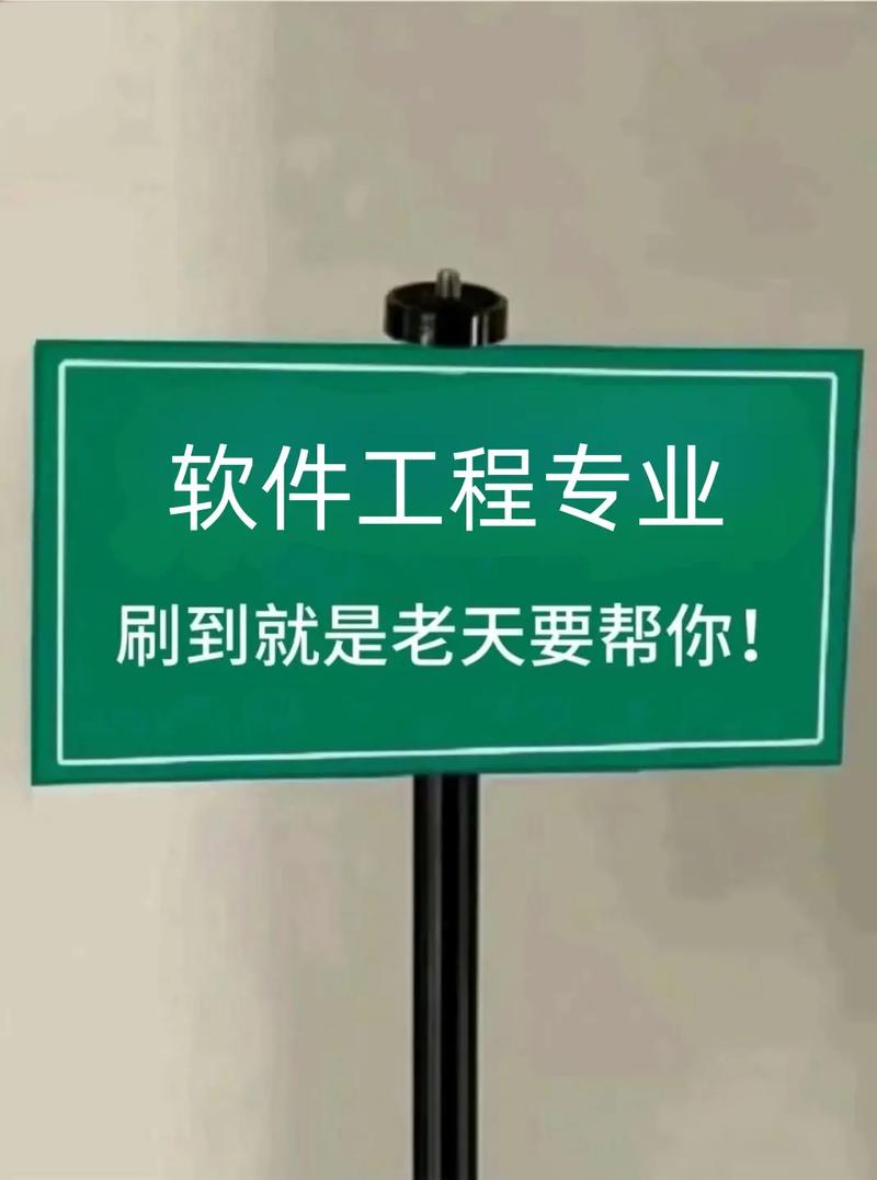 为什么要做软件工程