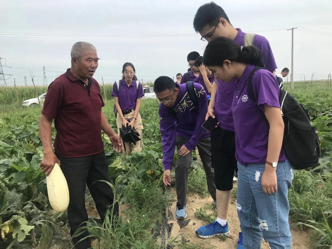 2019年什么时实践活动