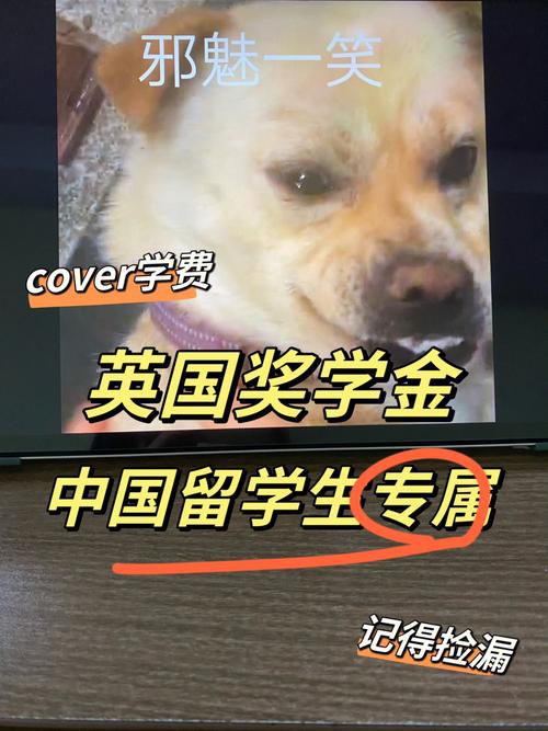 奖学金代表什么动物