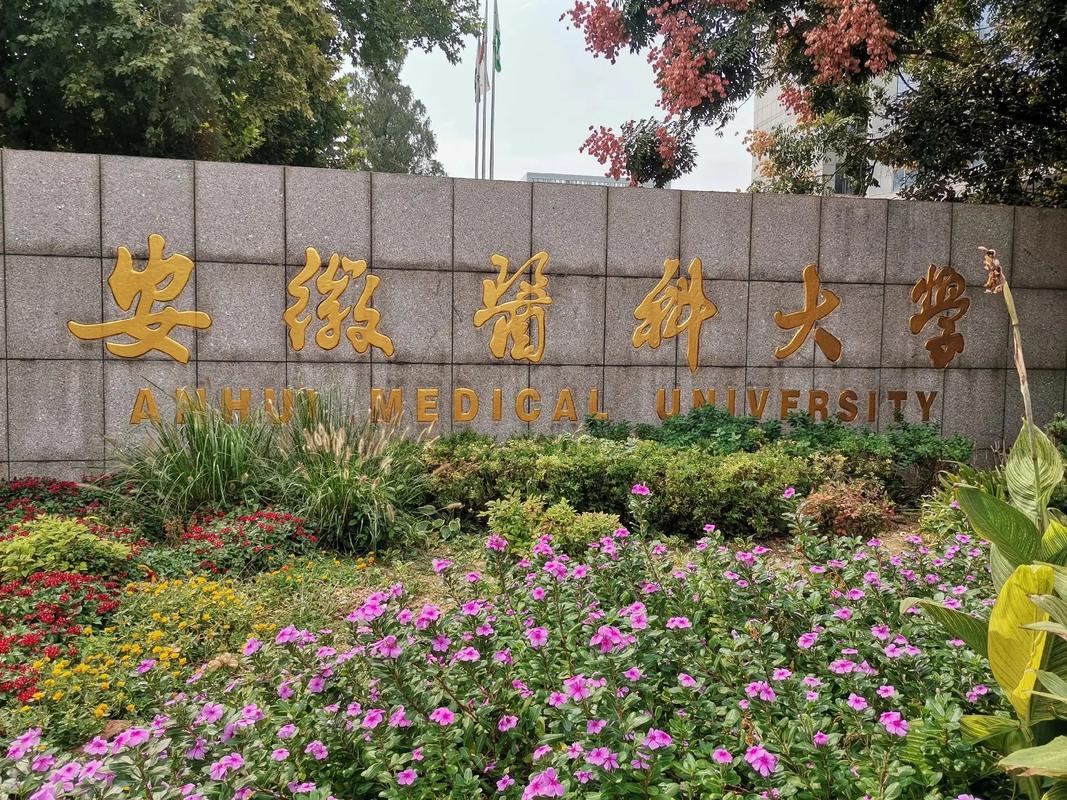 安徽有什么医大学