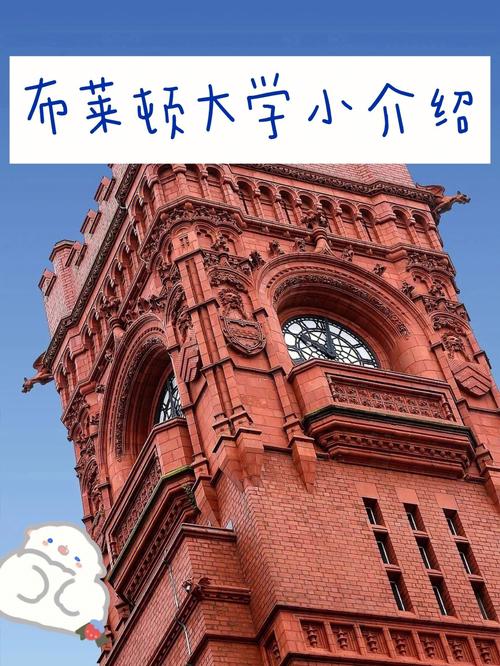 布莱顿大学怎么样