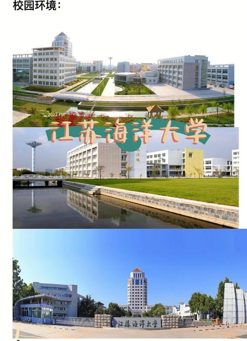 381能读什么大学江苏