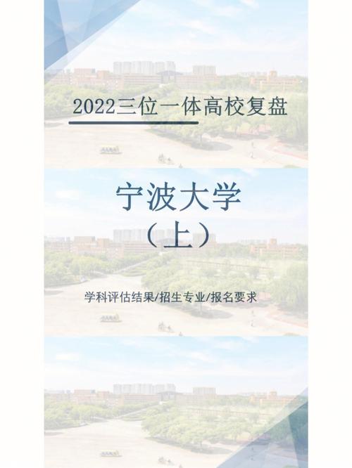 宁波大学文科怎么样