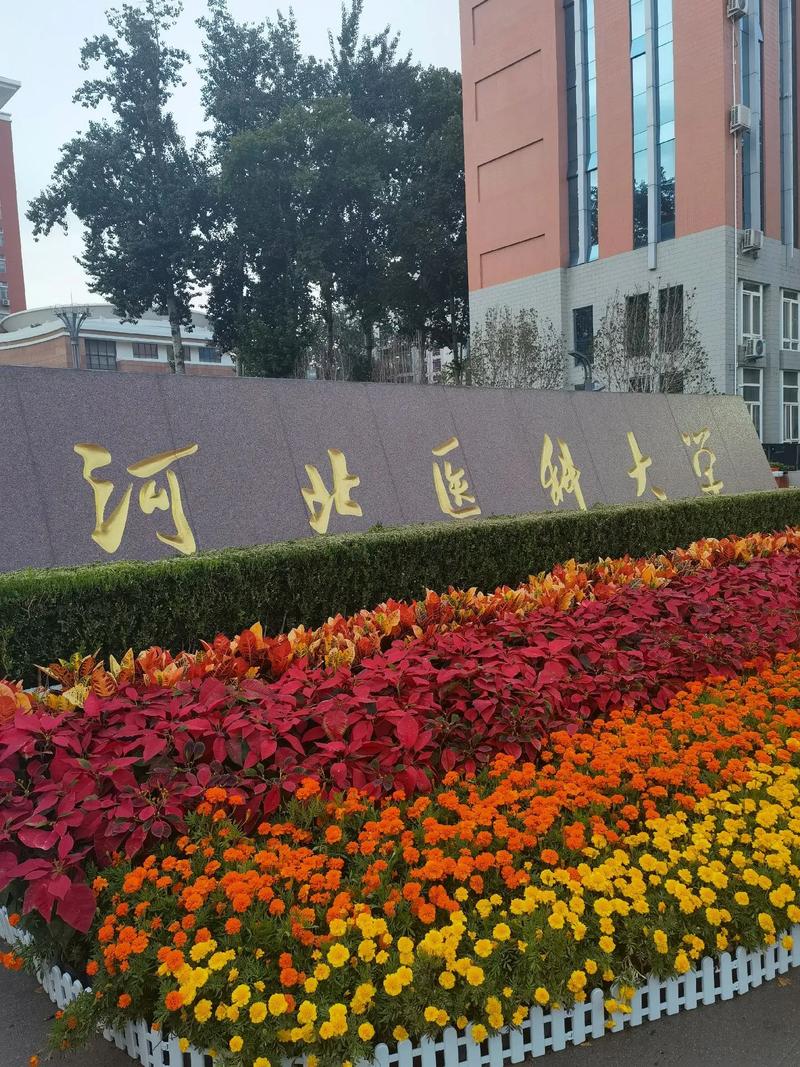 河北都有什么医药大学