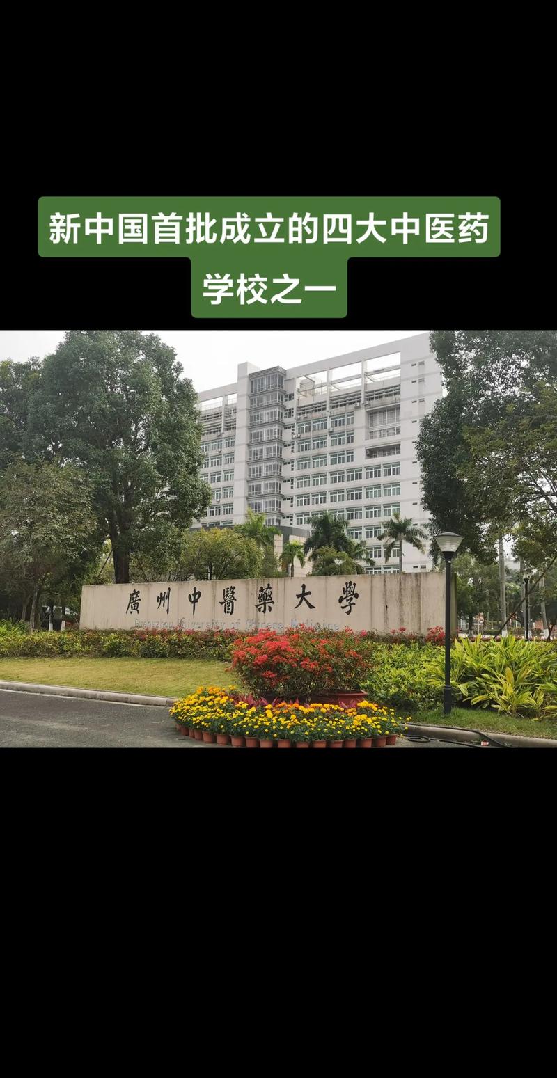 学中医大学有哪些