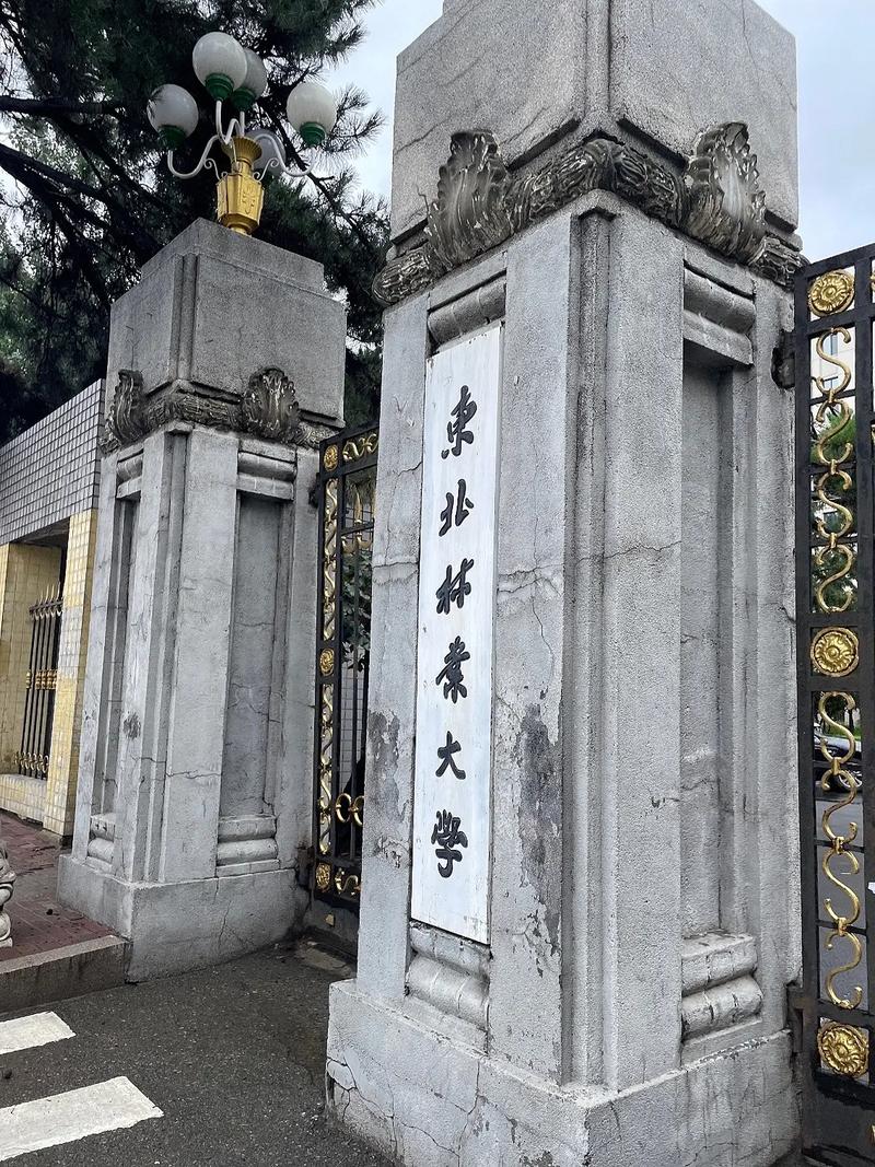 东北林什么大学