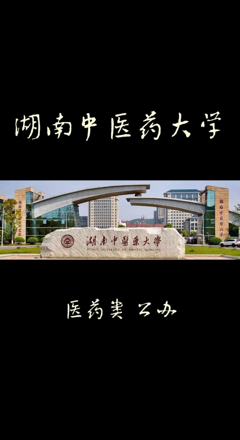 湖南中医大学怎么样