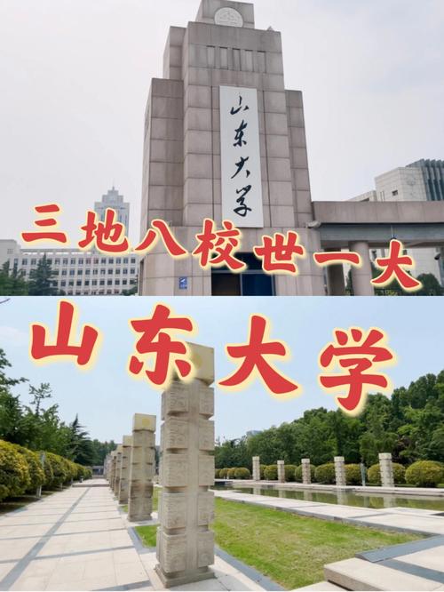 山东大学数学怎么样