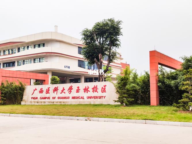 玉林什么大学好