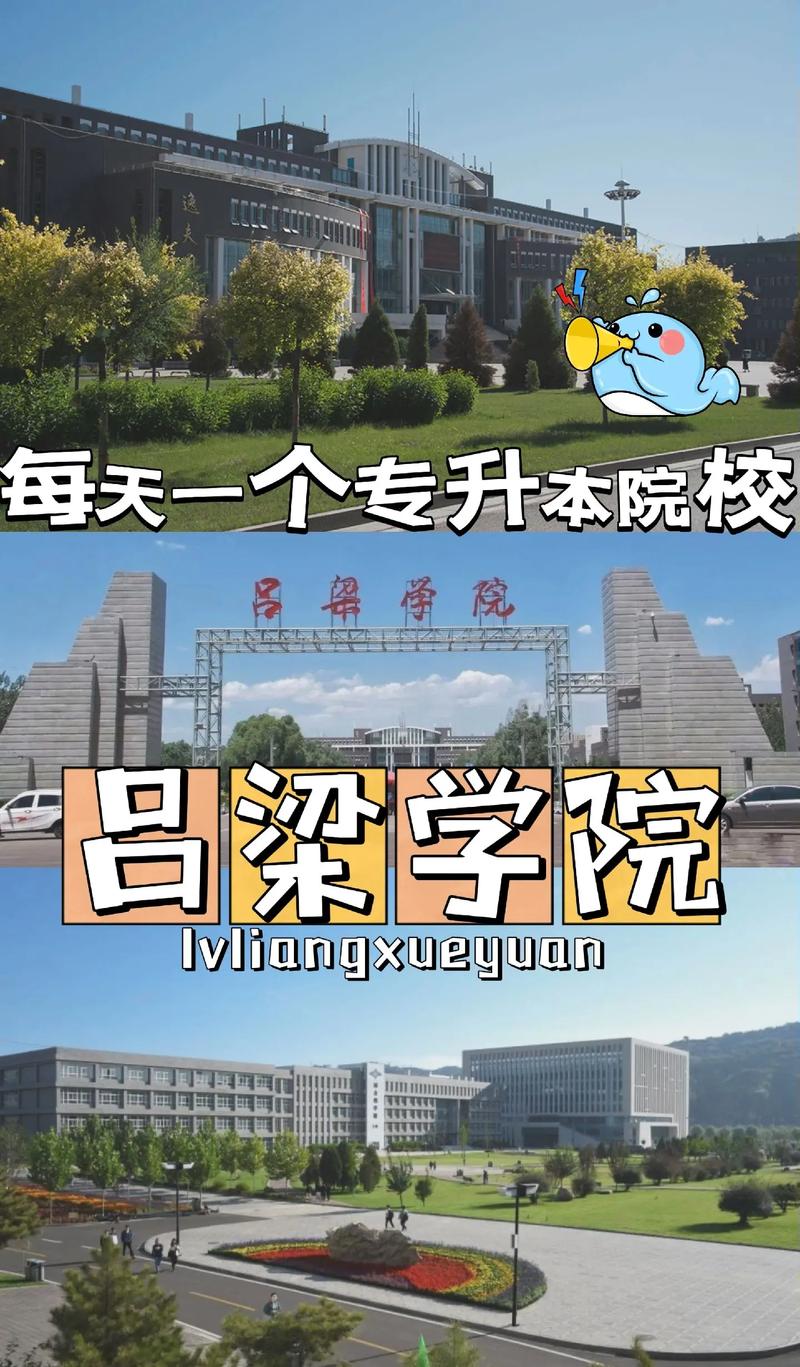 山西离石有什么学院