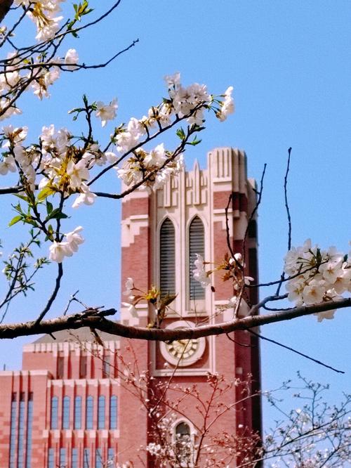 蒙特雷科技大学怎么样