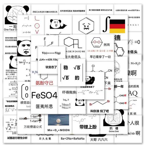 247理科可以上什么学校