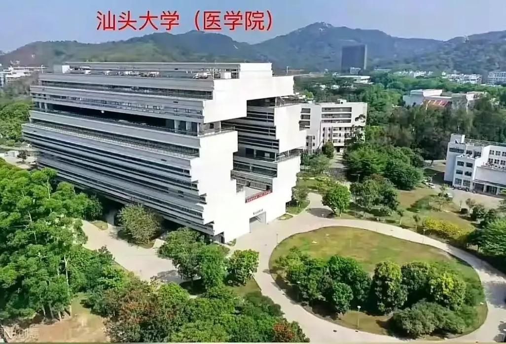 汕大算什么大学