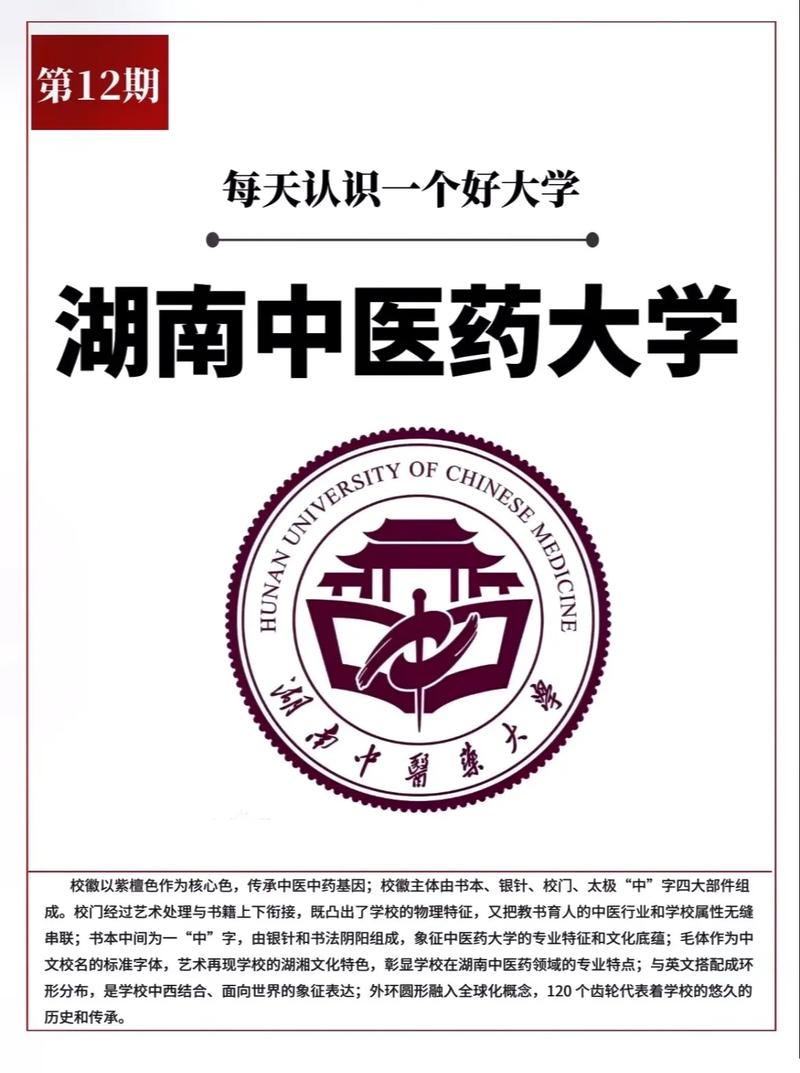 中医有什么大学好