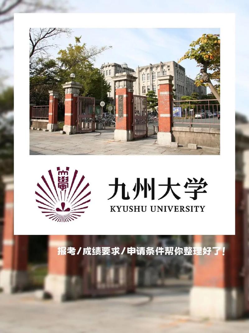 九州有哪些大学排名