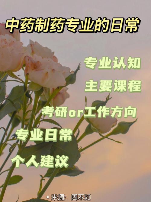 中药什么专业比较吃香