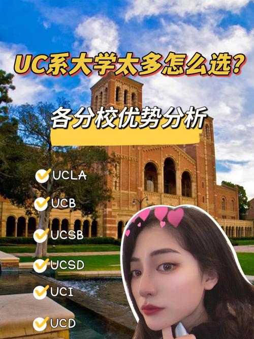 大学什么系怎么看