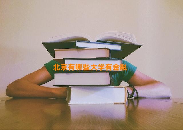 北京有哪些大学有金融