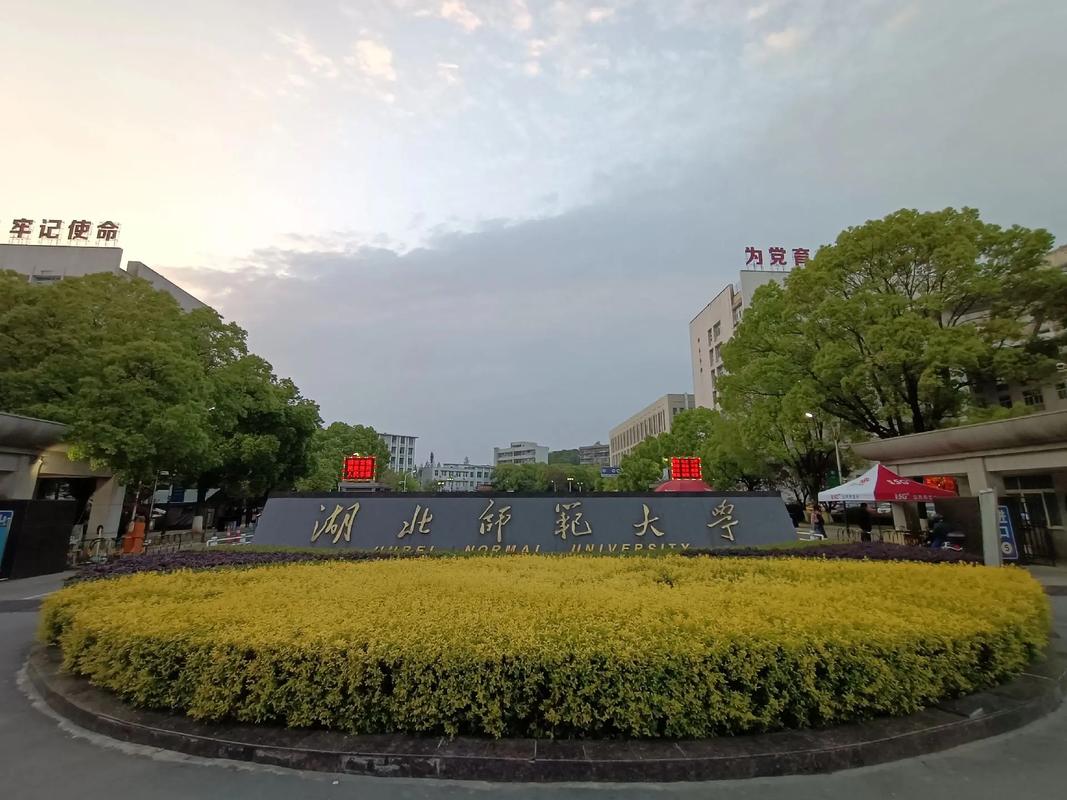 湖北什么阳大学