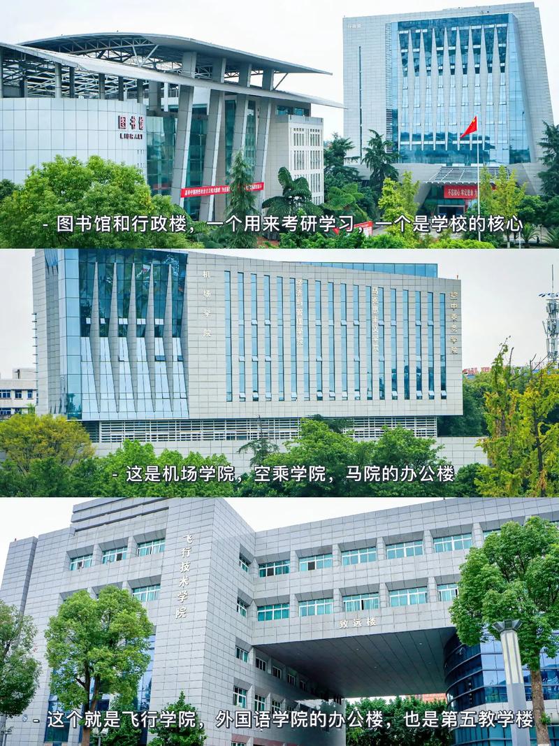 中飞院什么学校