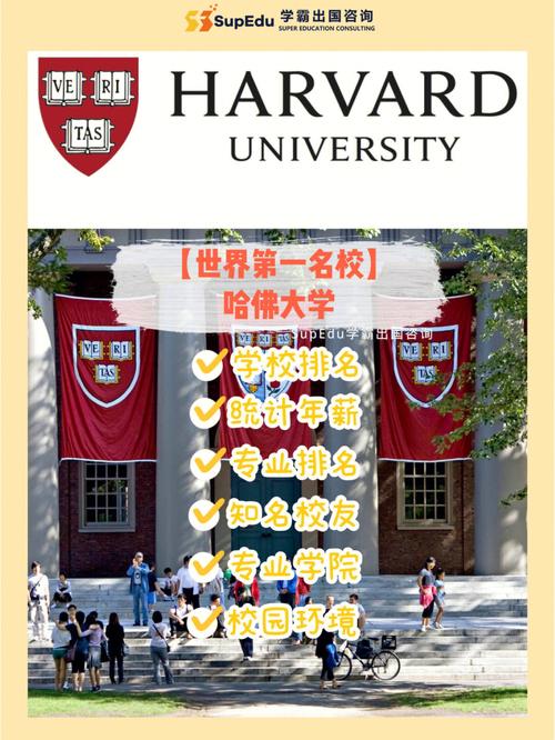 哈法有什么大学