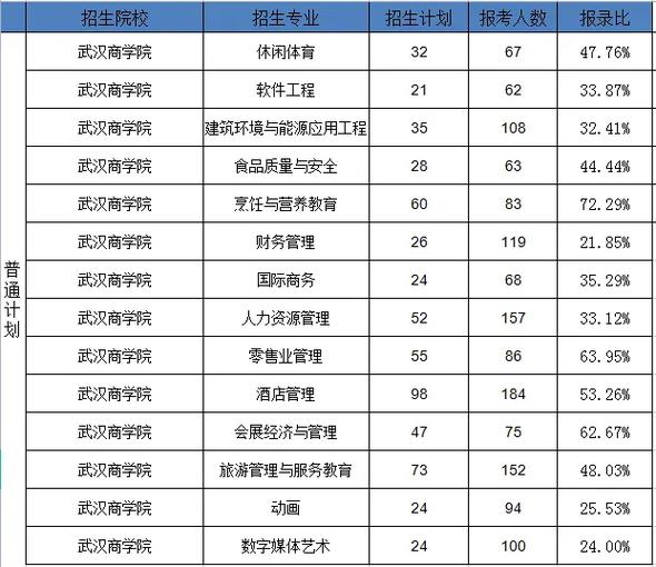 武汉学院有哪些专业