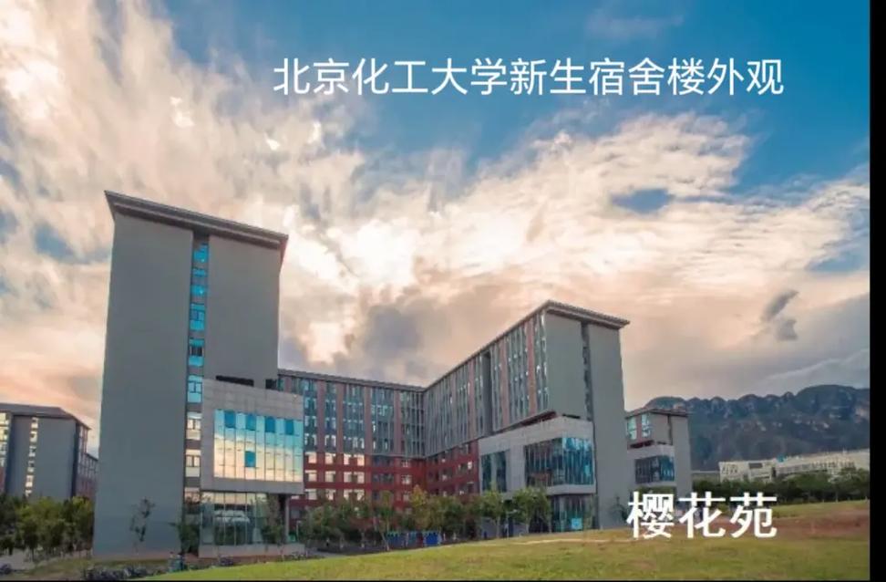 化工有什么大学