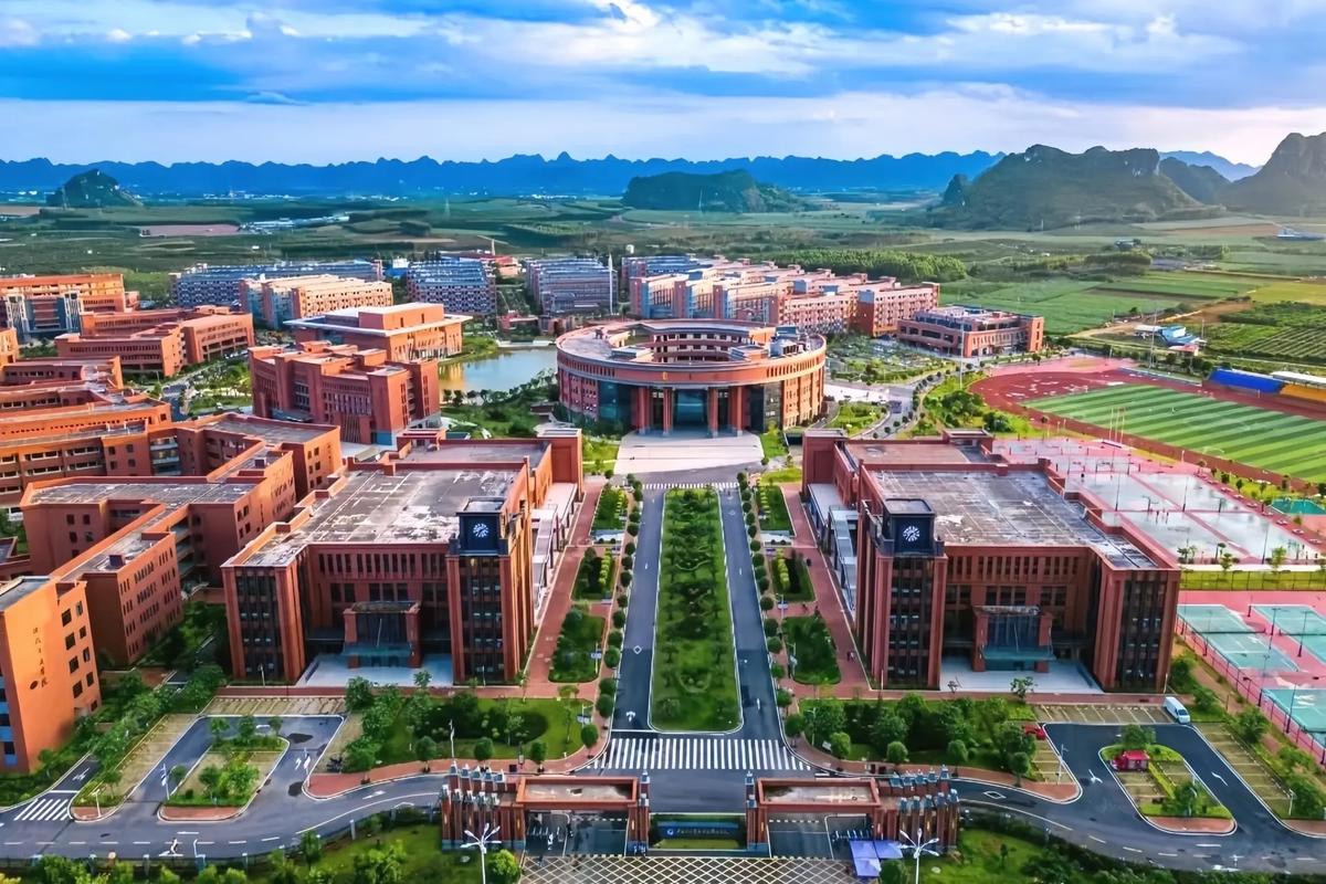 广西国际什么大学