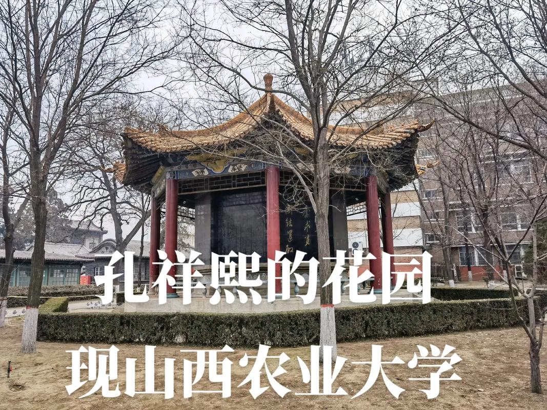 太古有什么大学