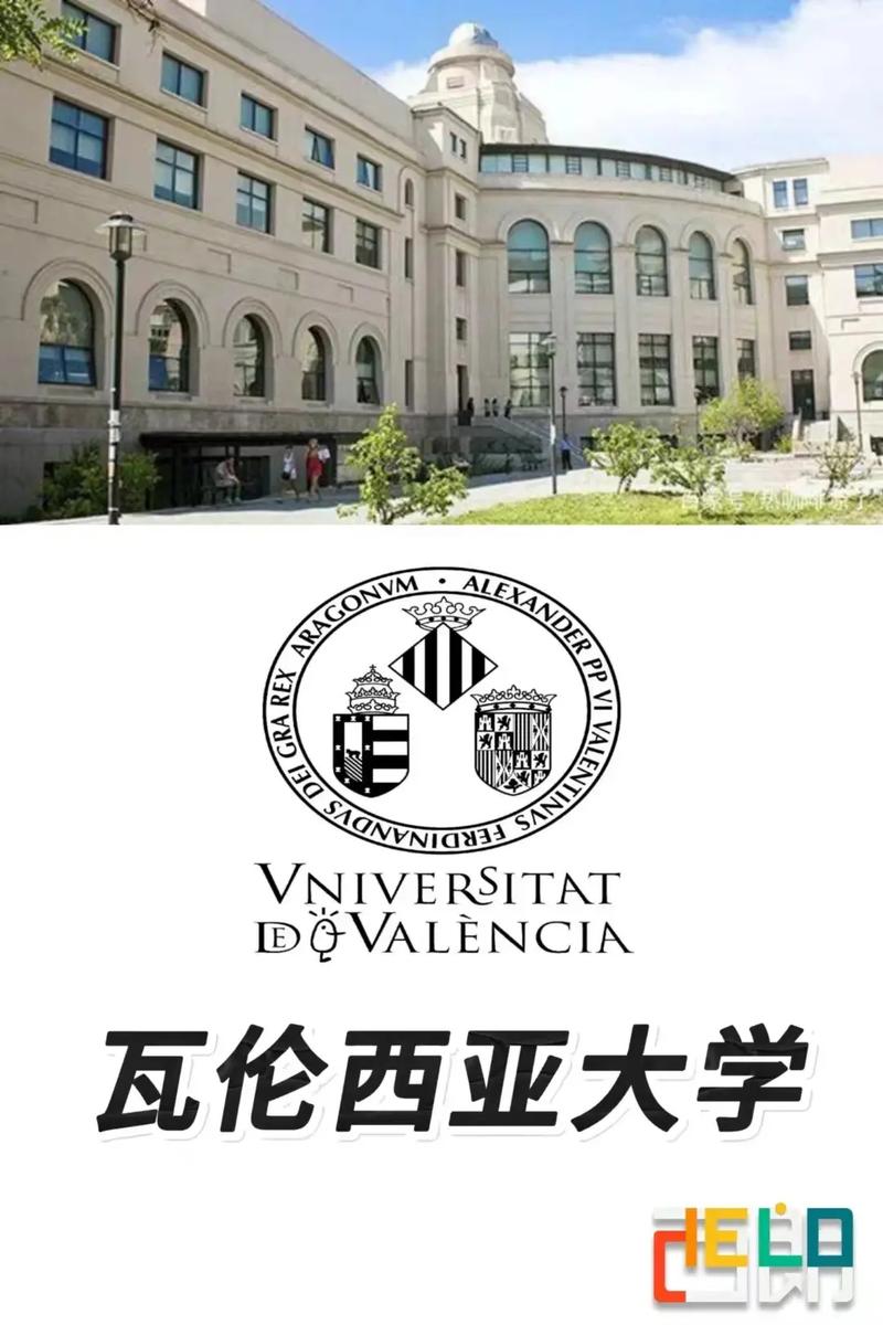 瓦伦西亚有什么大学