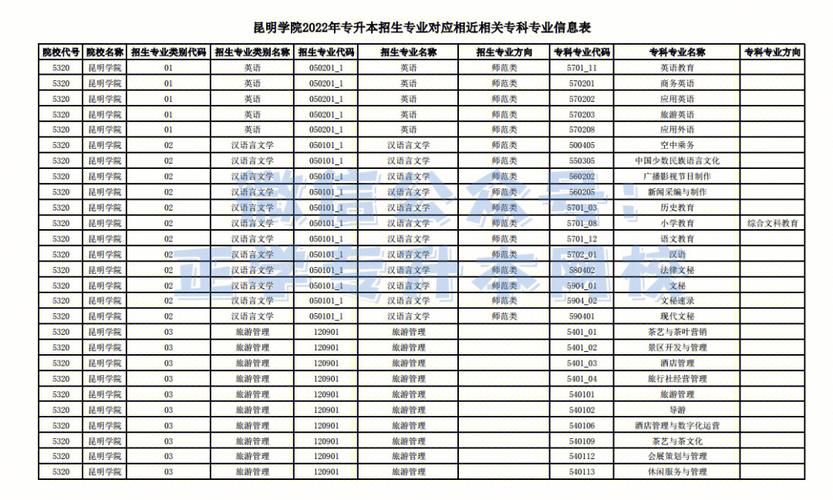 昆明大学什么专业有名