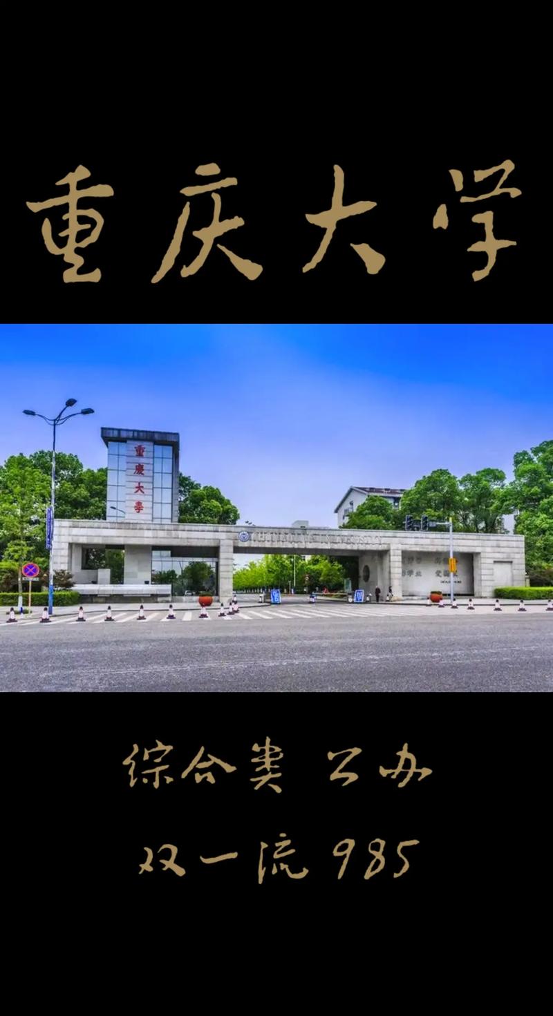 重庆大学有哪些大学