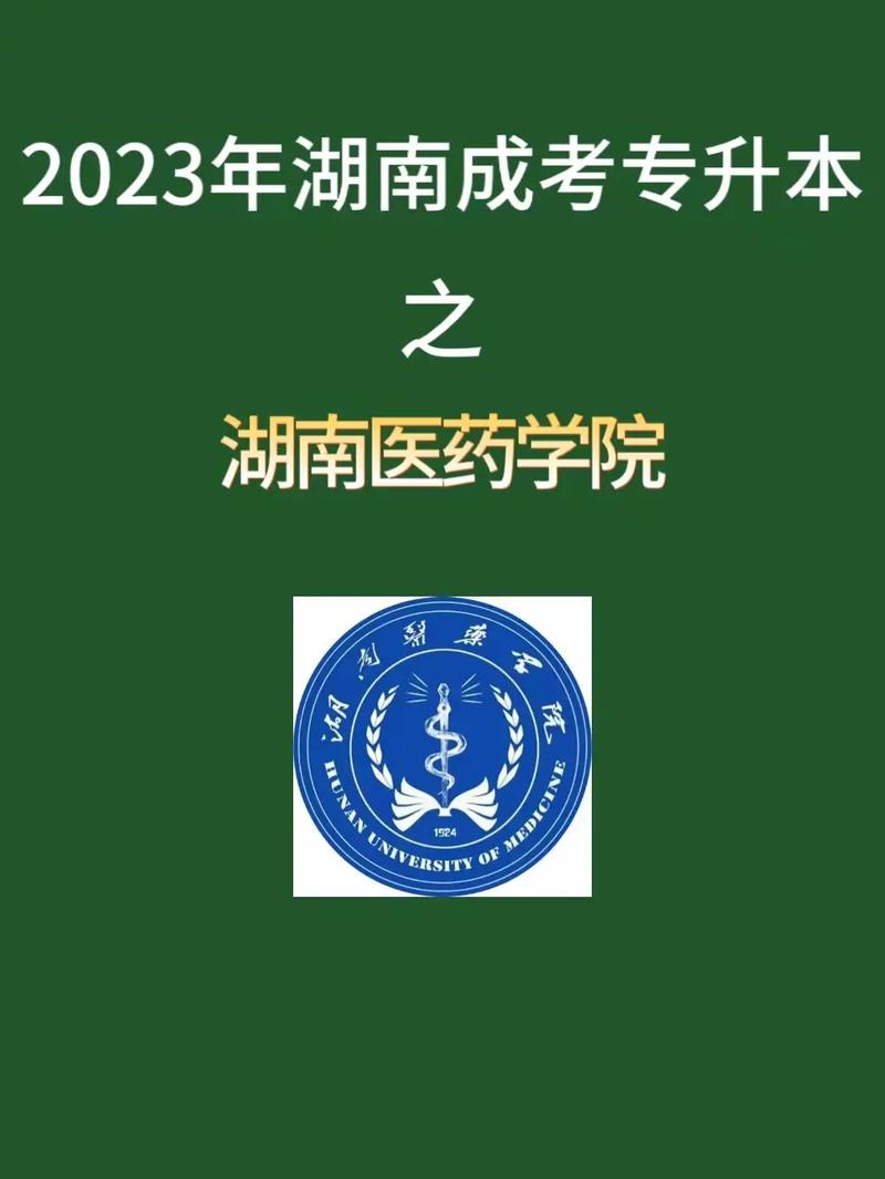 湖南有什么医药大学