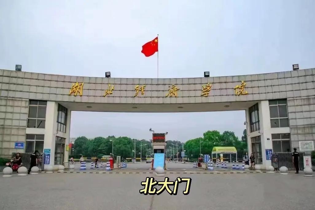 湖北经济什么大学