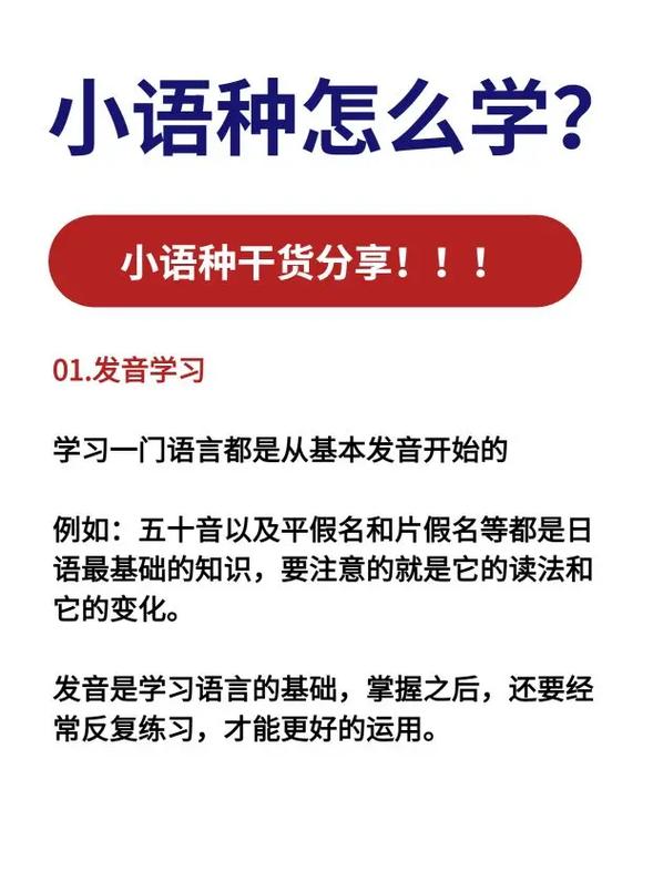 大学小语种学学什么