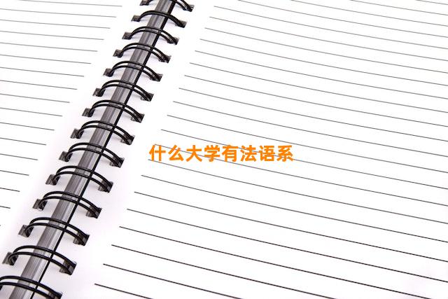 什么大学有法语系