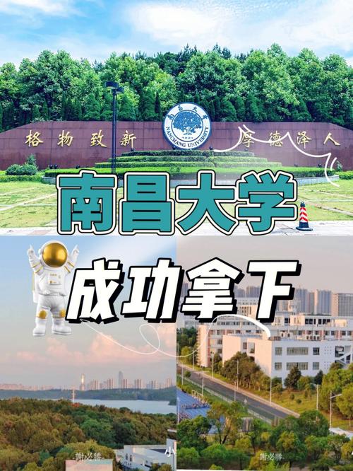 南昌大学什么水平